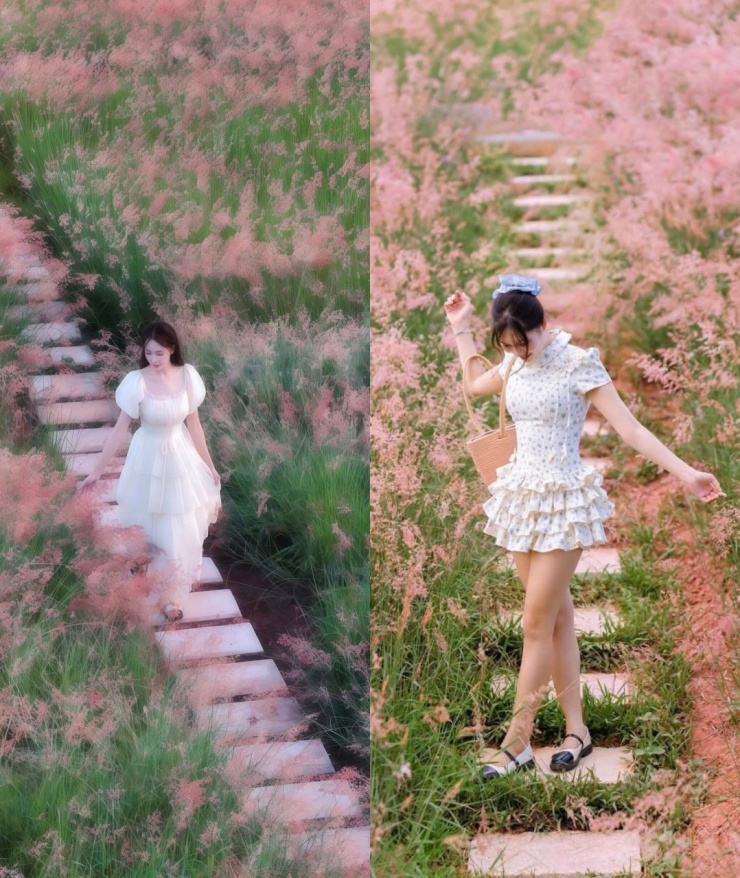 Lạc bước trong "khu vườn cổ tích" rợp sắc cỏ hồng. Ảnh: Nam Leu Long (trái), Phan Thị Thu Thủy (phải). 