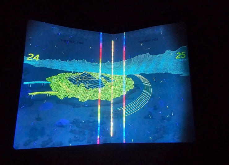 Loạt hình ảnh gây bất ngờ trên hộ chiếu Việt Nam khi soi tia UV 10 Loạt hình ảnh gây bất ngờ trên hộ chiếu Việt Nam khi soi tia UV - 9