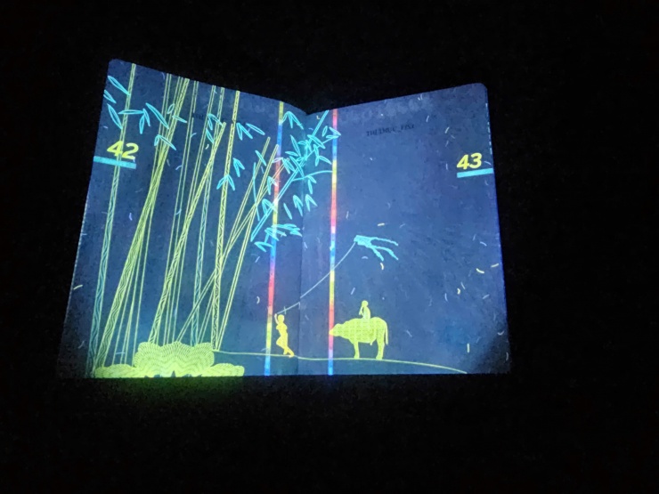 Loạt hình ảnh gây bất ngờ trên hộ chiếu Việt Nam khi soi tia UV 15 Loạt hình ảnh gây bất ngờ trên hộ chiếu Việt Nam khi soi tia UV - 14