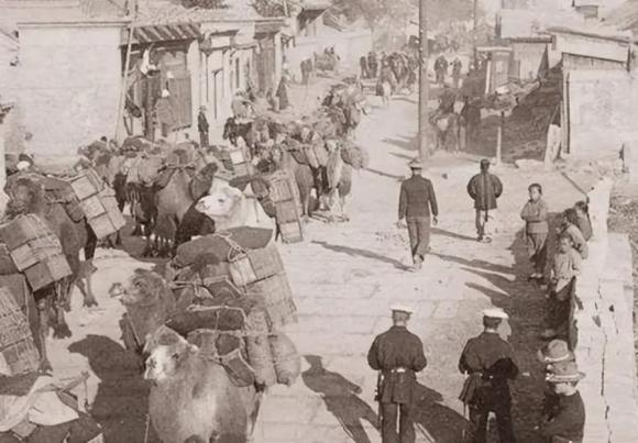 bà thầy bói rùa