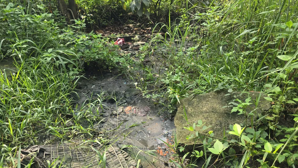 bãi tập kết rác (2).jpg