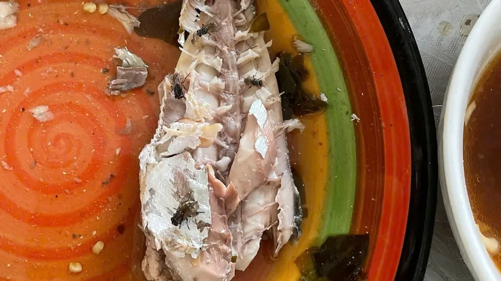 Rất nhiều ruồi muỗi bay vào nhà, ảnh hưởng đến đời sống hàng ngày của người dân. bãi tập kết rác (6).jpg