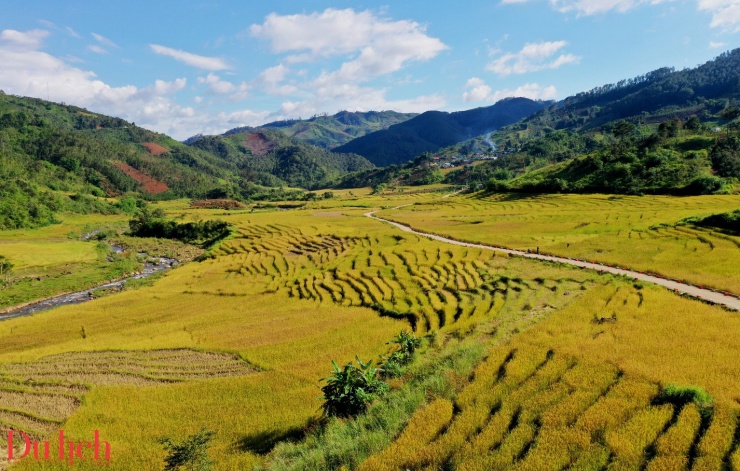 Di sản ruộng bậc thang độc đáo hấp dẫn du khách đến với Măng Ri - 2