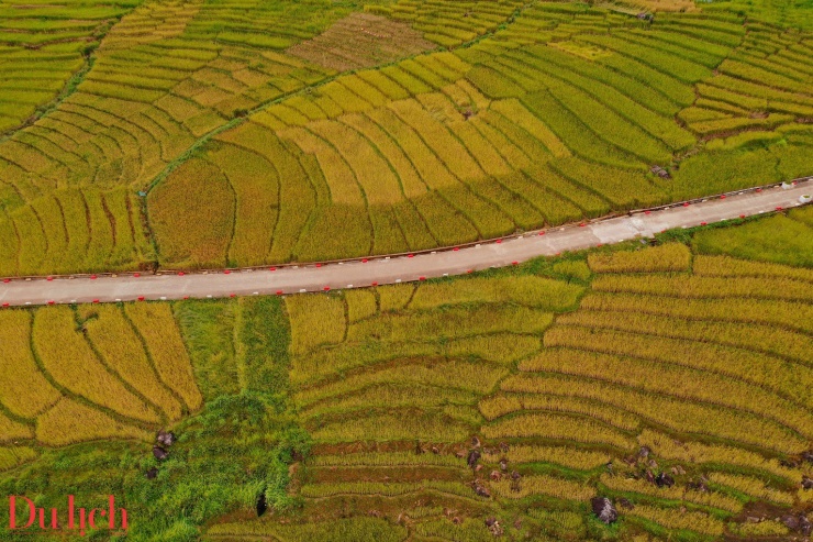 Di sản ruộng bậc thang độc đáo hấp dẫn du khách đến với Măng Ri - 11