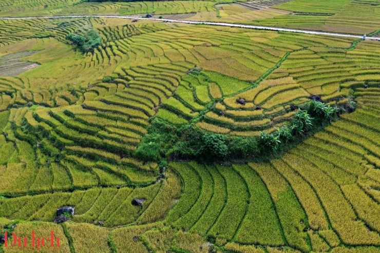 Di sản ruộng bậc thang độc đáo hấp dẫn du khách đến với Măng Ri - 21