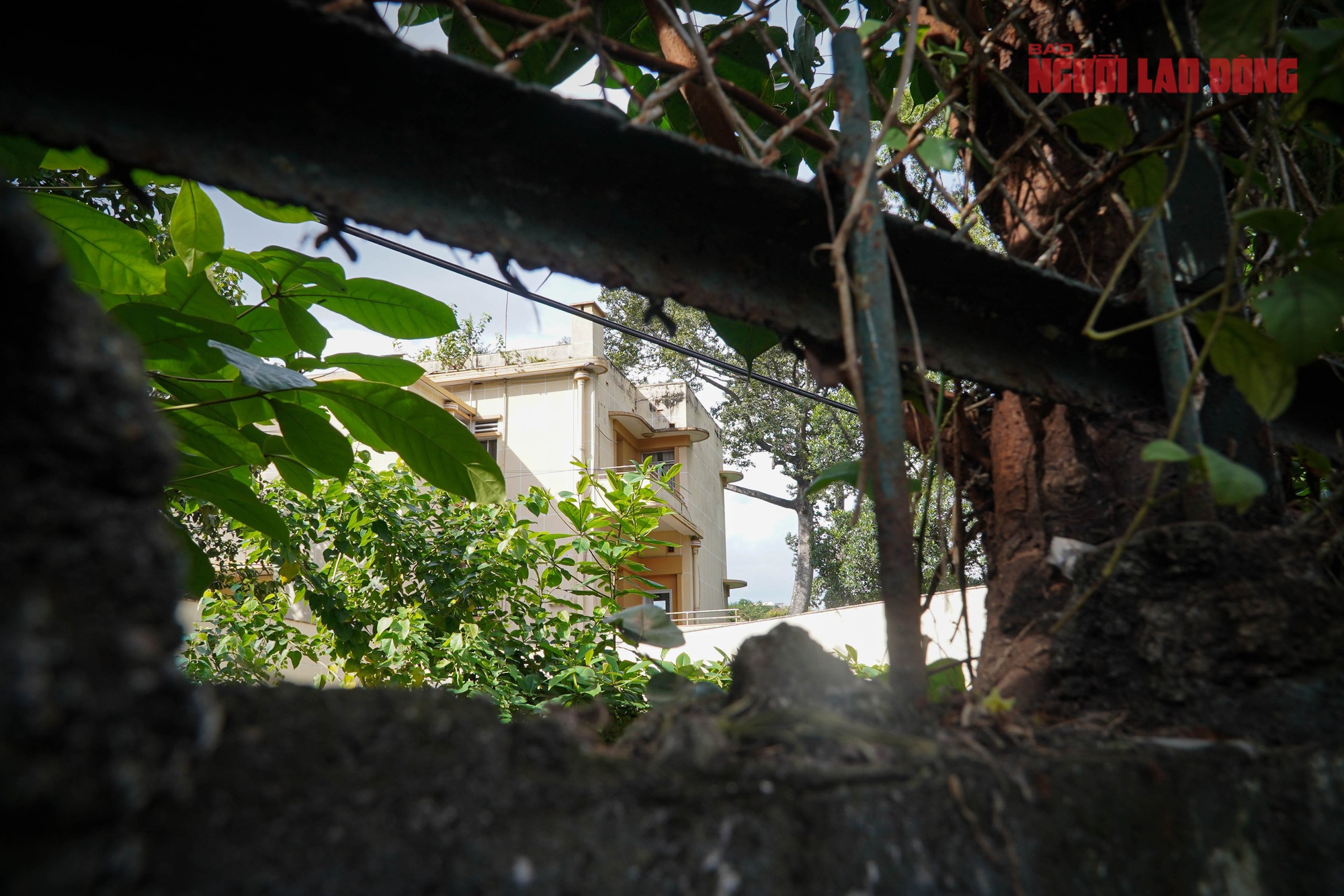 Khu đất Bến Nhà Rồng, số 1 Lý Thái Tổ sẽ làm không gian văn hóa Hồ Chí Minh và công viên 6 Chùm ảnh: Khu đất Bến Nhà Rồng, số 1 Lý Thái Tổ sẽ làm không gian văn hóa Hồ Chí Minh và công viên - Ảnh 6.