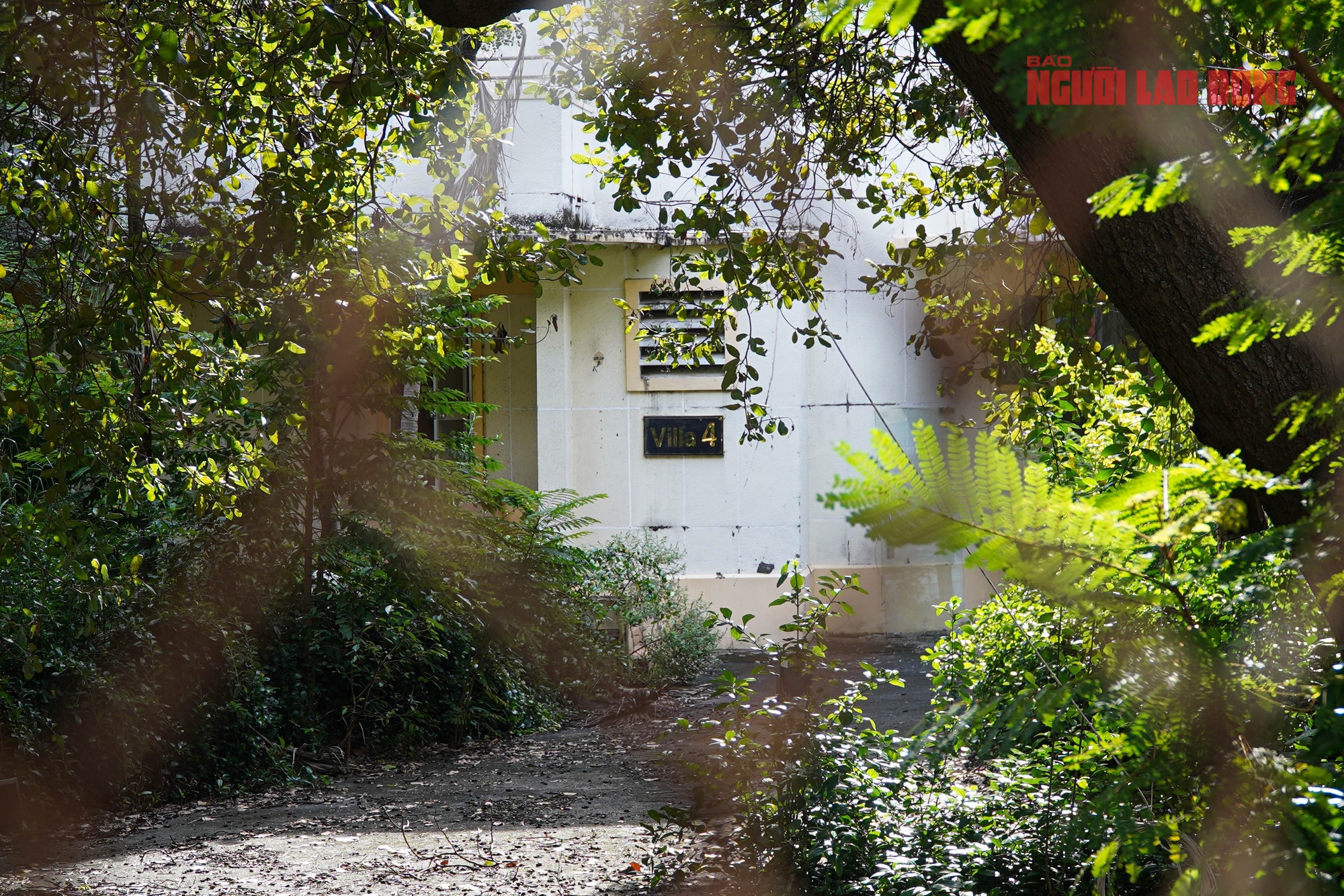 Khu đất Bến Nhà Rồng, số 1 Lý Thái Tổ sẽ làm không gian văn hóa Hồ Chí Minh và công viên 7 Chùm ảnh: Khu đất Bến Nhà Rồng, số 1 Lý Thái Tổ sẽ làm không gian văn hóa Hồ Chí Minh và công viên - Ảnh 7.