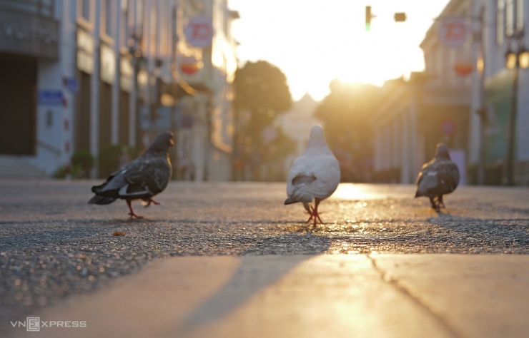 Sắc thu nhuộm khắp phố phường Hà Nội 6 Sắc thu nhuộm khắp phố phường Hà Nội - 5