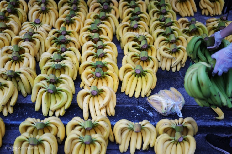 Sắc thu nhuộm khắp phố phường Hà Nội 11 Sắc thu nhuộm khắp phố phường Hà Nội - 10