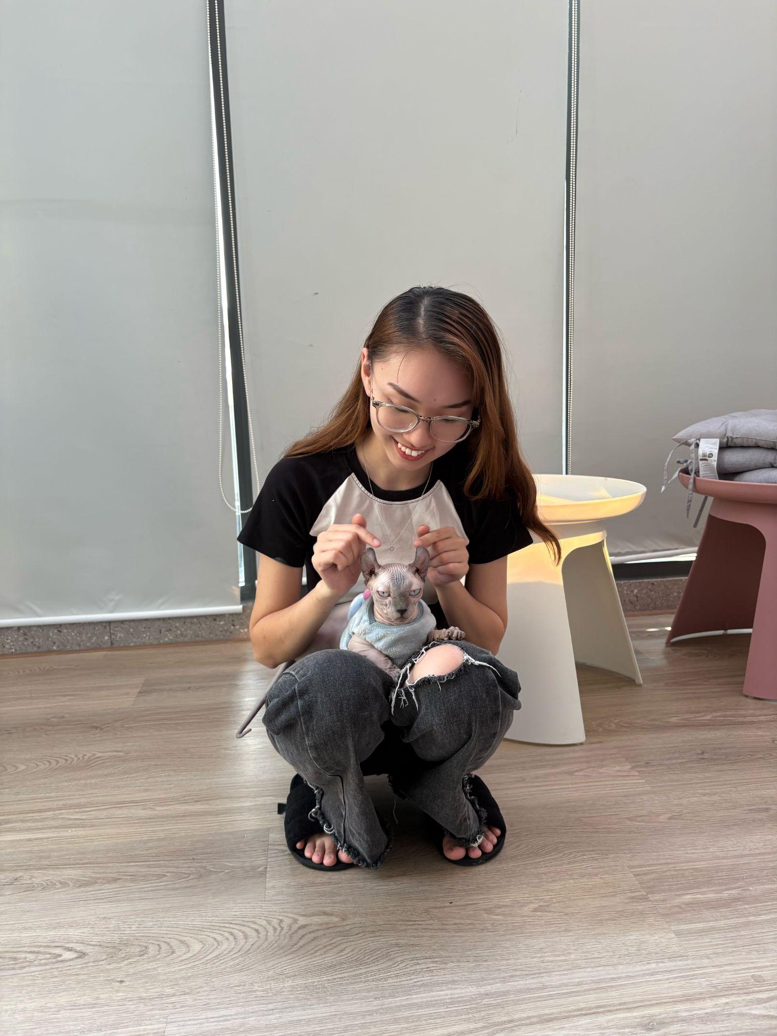 Mèo cam ‘tai tiếng' khổng lồ xuất hiện tại cửa Đông chợ Bến Thành- Ảnh 2. Mèo cam ‘tai tiếng' khổng lồ xuất hiện tại cửa Đông chợ Bến Thành- Ảnh 2.