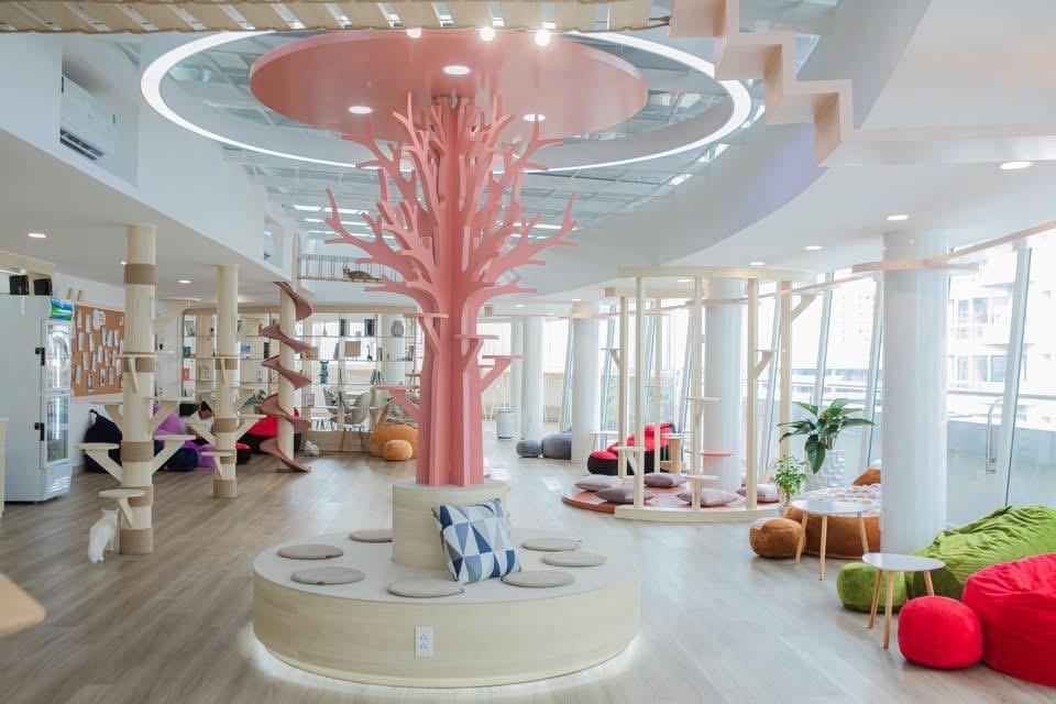 Mèo cam ‘tai tiếng' khổng lồ xuất hiện tại cửa Đông chợ Bến Thành- Ảnh 4. Mèo cam ‘tai tiếng' khổng lồ xuất hiện tại cửa Đông chợ Bến Thành- Ảnh 4.