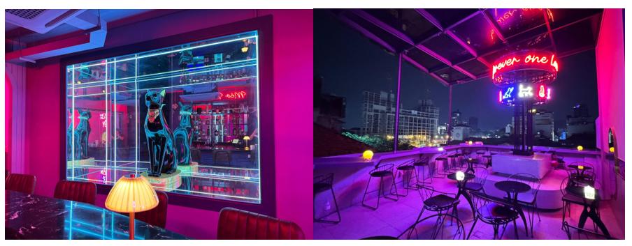 Mèo cam ‘tai tiếng' khổng lồ xuất hiện tại cửa Đông chợ Bến Thành- Ảnh 8. Mèo cam ‘tai tiếng' khổng lồ xuất hiện tại cửa Đông chợ Bến Thành- Ảnh 8.