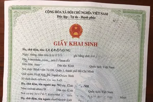Chính thức triển khai cấp giấy khai sinh trực tuyến cho người Việt Nam tại nước ngoài