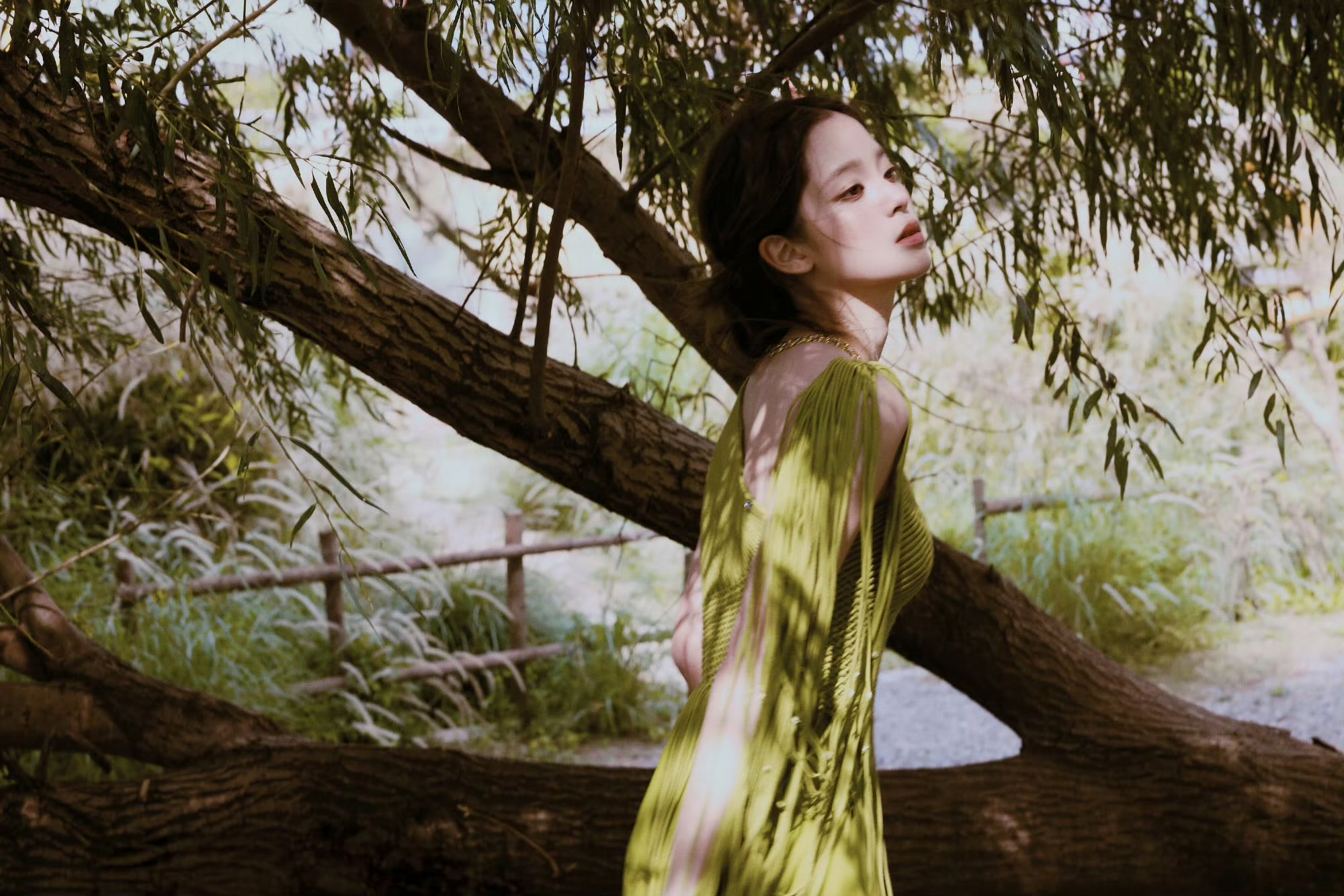 Giờ mới biết công chúa ngủ trong rừng đẹp thế nào- Ảnh 14.