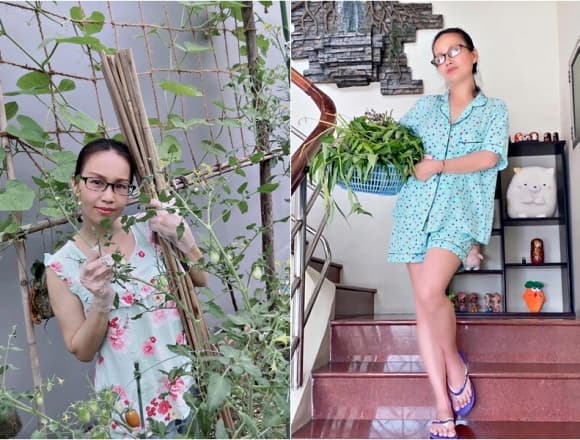 Cẩm Ly, sao Việt