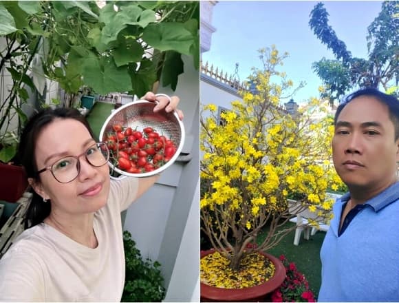 Cẩm Ly, sao Việt