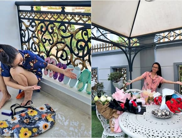 Cẩm Ly, sao Việt