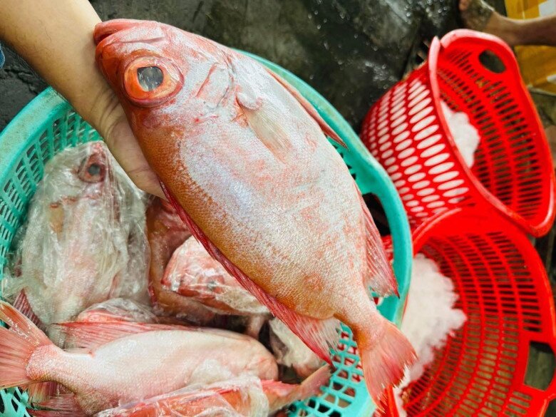 Loài cá có tên như món amp;#34;khoái khẩuamp;#34; của các cụ lại là đặc sản nức tiếng miền Tây, 300.000đ/kg vẫn amp;#34;cháy hàngamp;#34; - 3