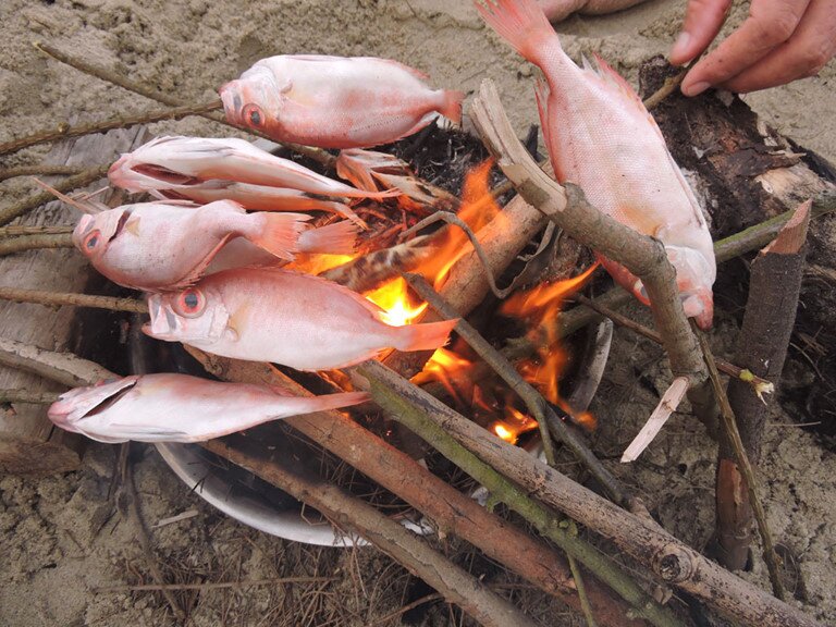 Loài cá có tên như món amp;#34;khoái khẩuamp;#34; của các cụ lại là đặc sản nức tiếng miền Tây, 300.000đ/kg vẫn amp;#34;cháy hàngamp;#34; - 4