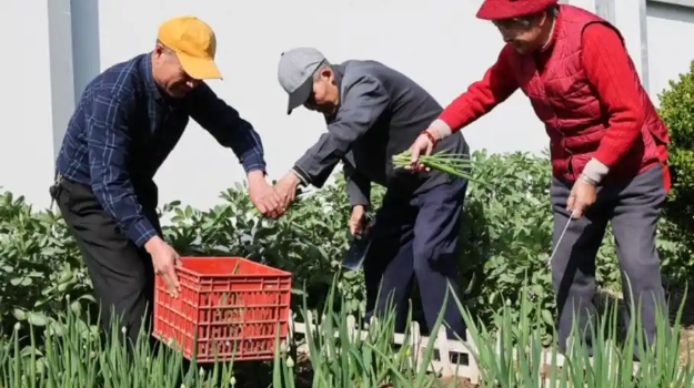 Bác họ lương hưu 30 triệu đồng, cha tôi chỉ có 5 triệu đồng: Người sống hạnh phúc hơn không phải ai cũng ngờ tới - Ảnh 2.