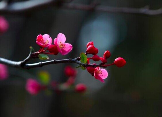 3 điều kẻ dại thường thích khoe khoang, người càng khôn ngoan càng giữ kín - 2