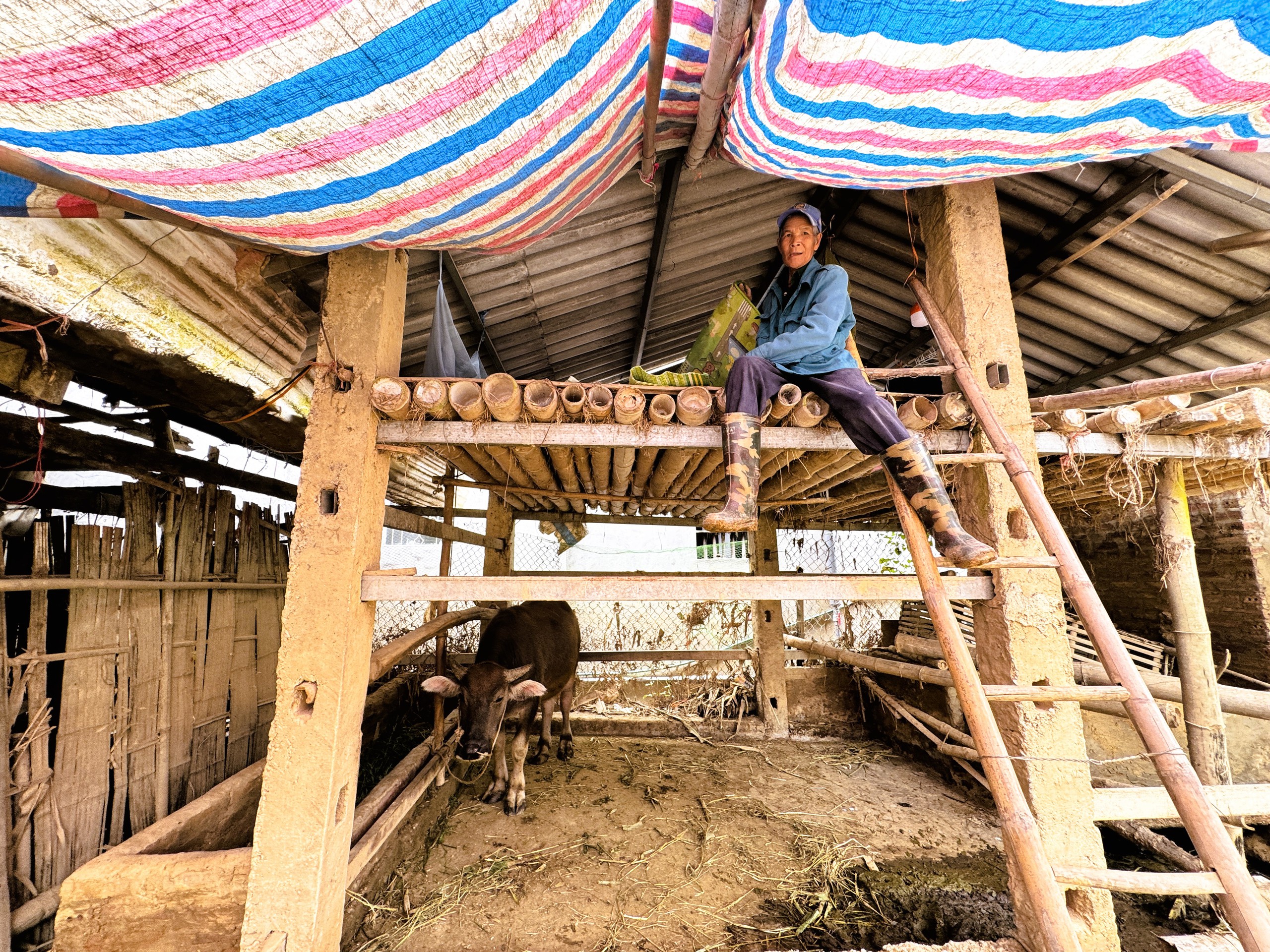 Cao Bằng gượng dậy sau thiên tai mưa lũ lịch sử- Ảnh 12.