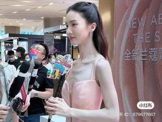 5 mỹ nhân showbiz này 