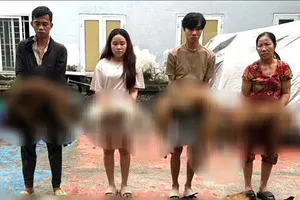 Cảnh sát hình sự bắt nhóm trộm, tiêu thụ nửa tạ chó ở phường Trung Mỹ Tây