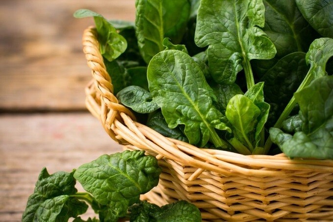 Rau bina chứa biotin, sắt, folate, vitamin A và C – tất cả đều cần thiết cho sự phát triển tóc. Sắt giúp tăng lưu thông oxy đến nang tóc, trong khi vitamin C hỗ trợ hấp thu sắt. Ăn rau bina thường xuyên giúp tóc chắc khỏe, mọc nhanh và hạn chế gãy rụng hiệu quả.