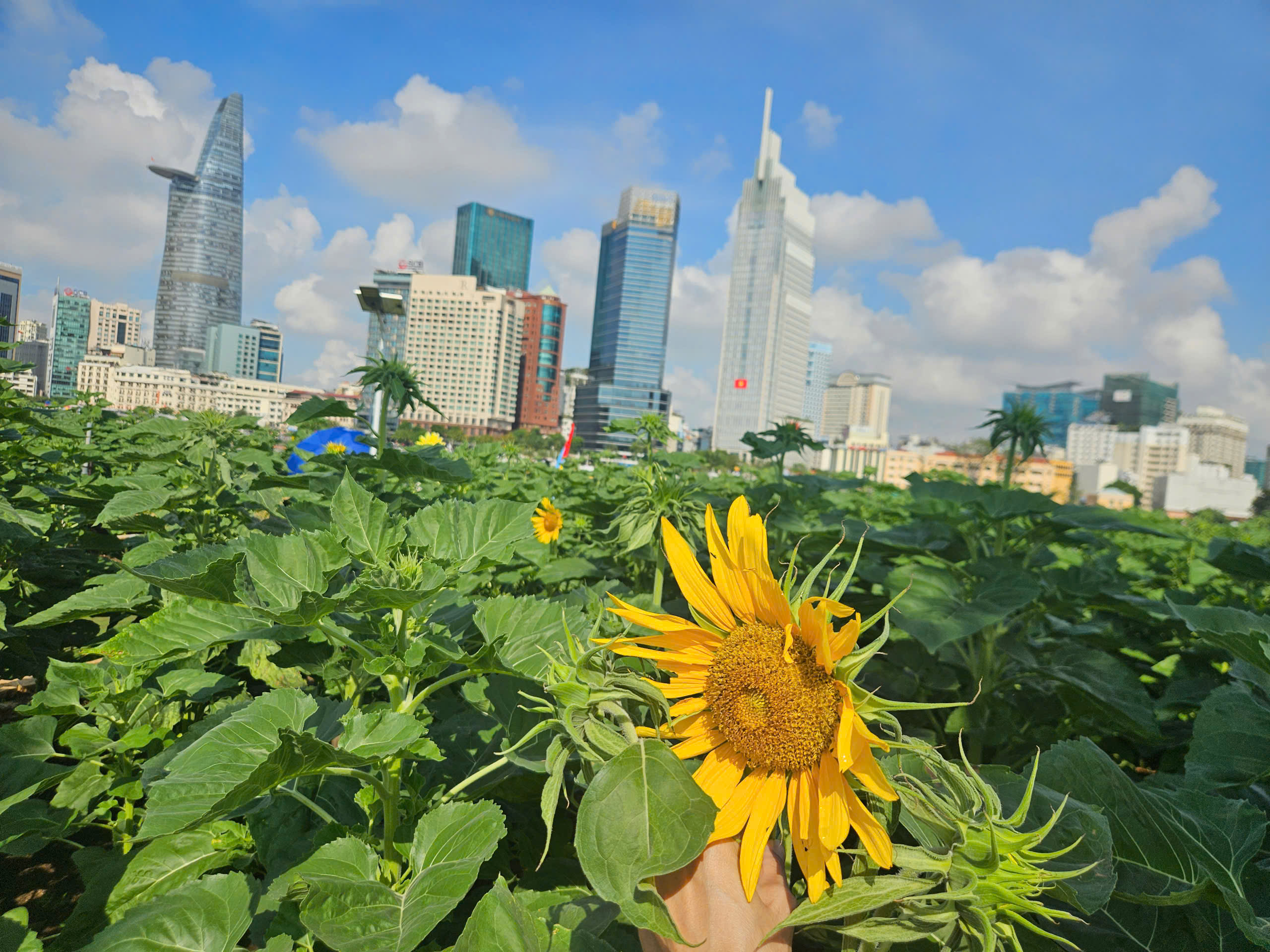 Những địa điểm xem diễu binh, pháo hoa và trình diễn máy bay “không có chỗ chê” dịp 30-4- Ảnh 10.