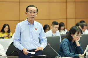 'Mong Quốc hội tiếp tục ủng hộ để TP.HCM có một thể chế tương thích với siêu đô thị'