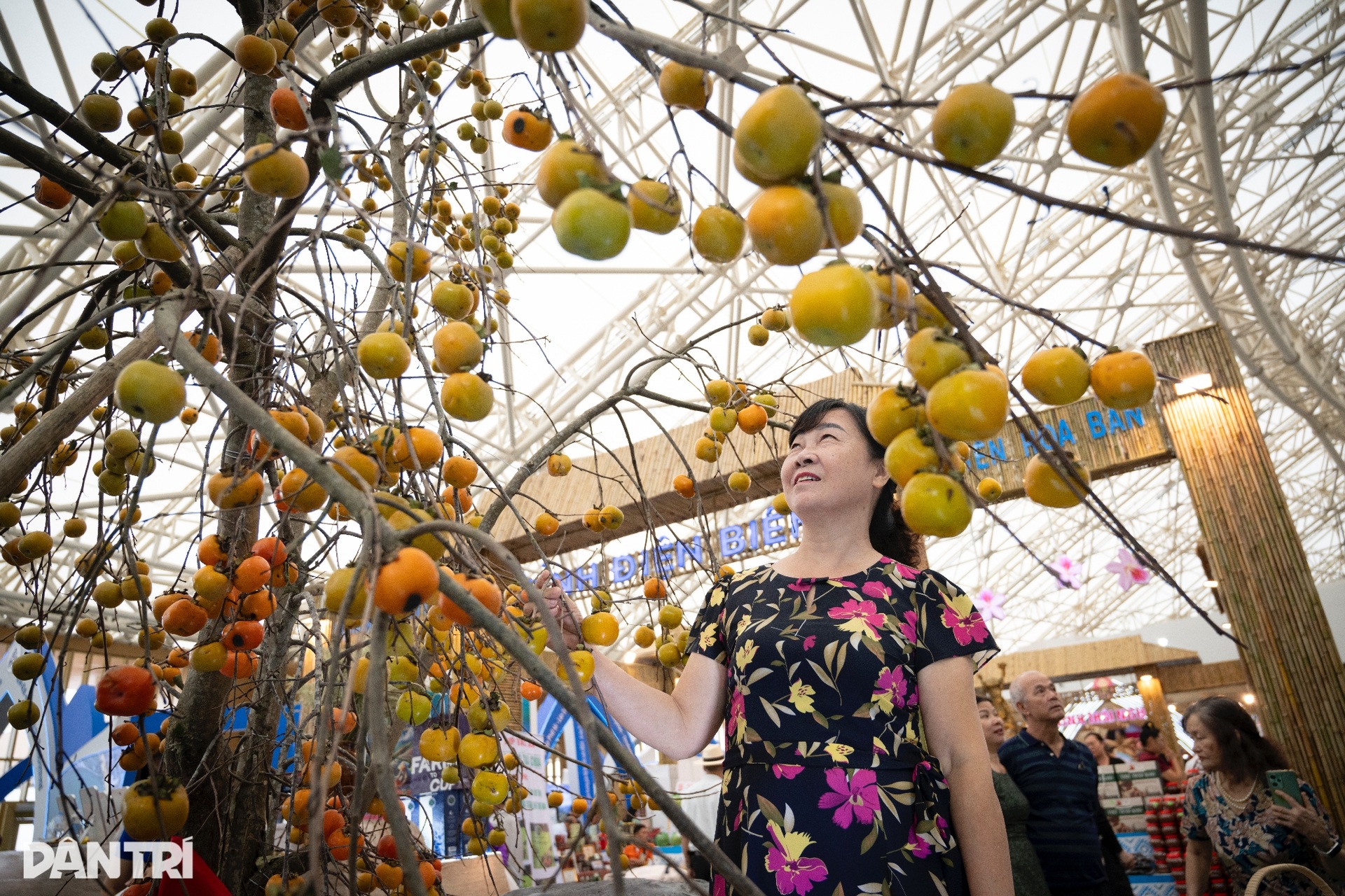 Sắc màu Tây Bắc nổi bật giữa không gian Hội chợ Mùa Thu - 5