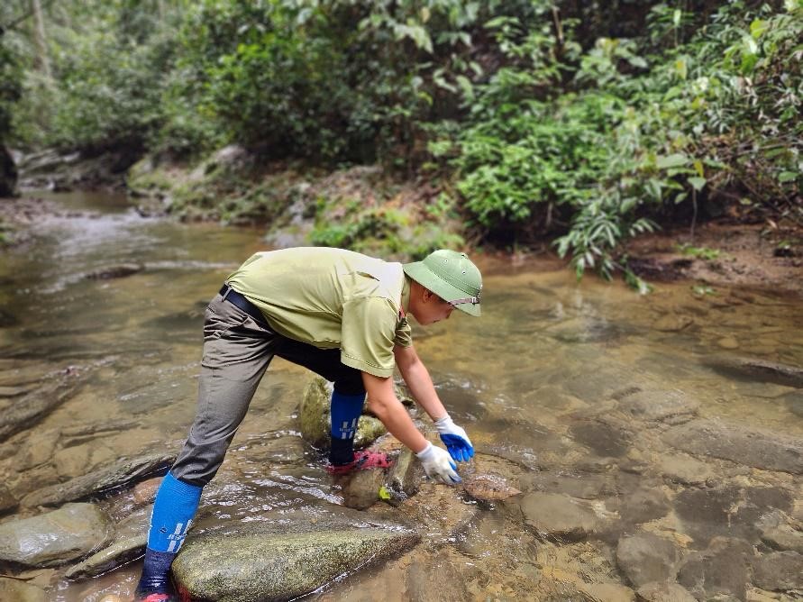 Sống đẹp giữa đại ngàn Pù Mát: Hành trình của chàng kiểm lâm trẻ Hoàng Nghĩa Công - Ảnh 3.
