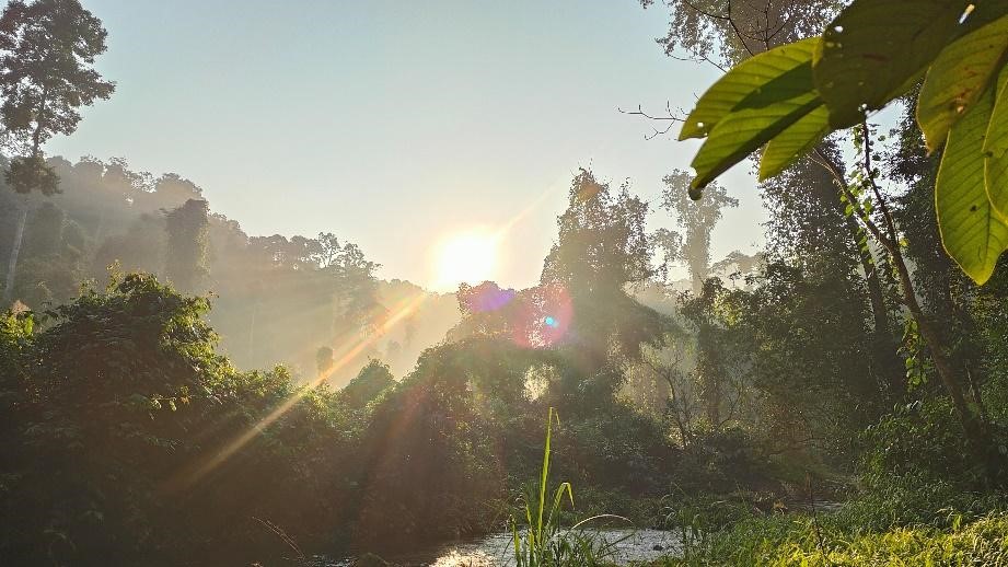 Sống đẹp giữa đại ngàn Pù Mát: Hành trình của chàng kiểm lâm trẻ Hoàng Nghĩa Công - Ảnh 5.