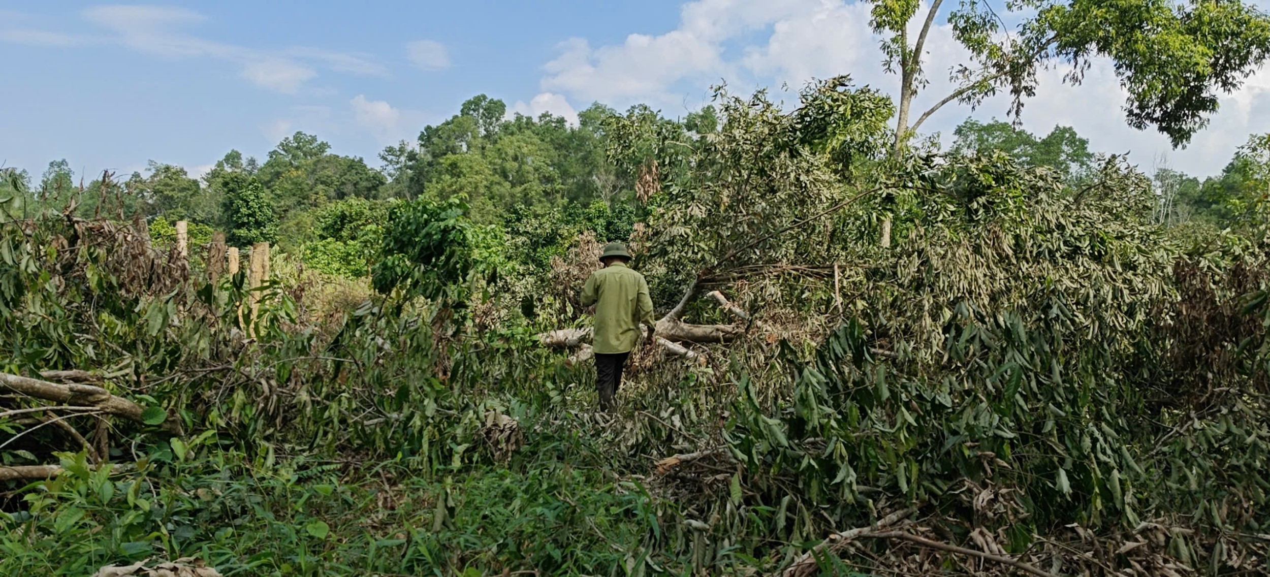 Sống đẹp giữa đại ngàn Pù Mát: Hành trình của chàng kiểm lâm trẻ Hoàng Nghĩa Công - Ảnh 4.