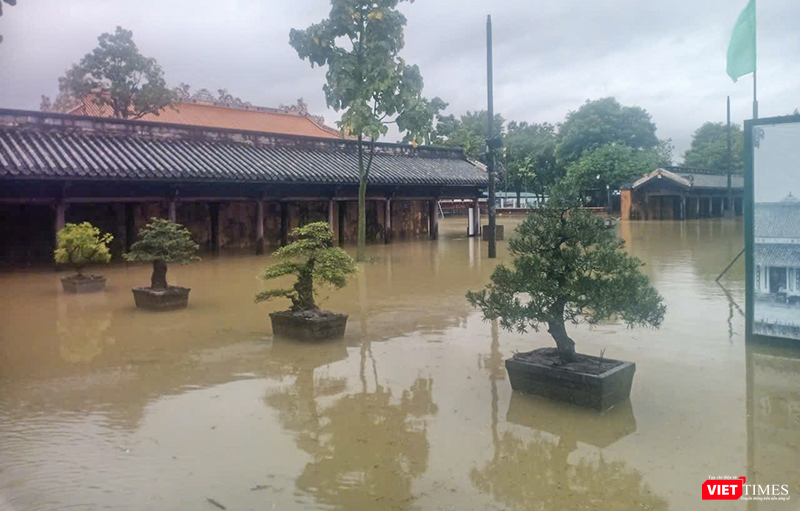 Thương lắm cảnh tượng ở Di tích Cố đô Huế ngày 28/10- Ảnh 12.