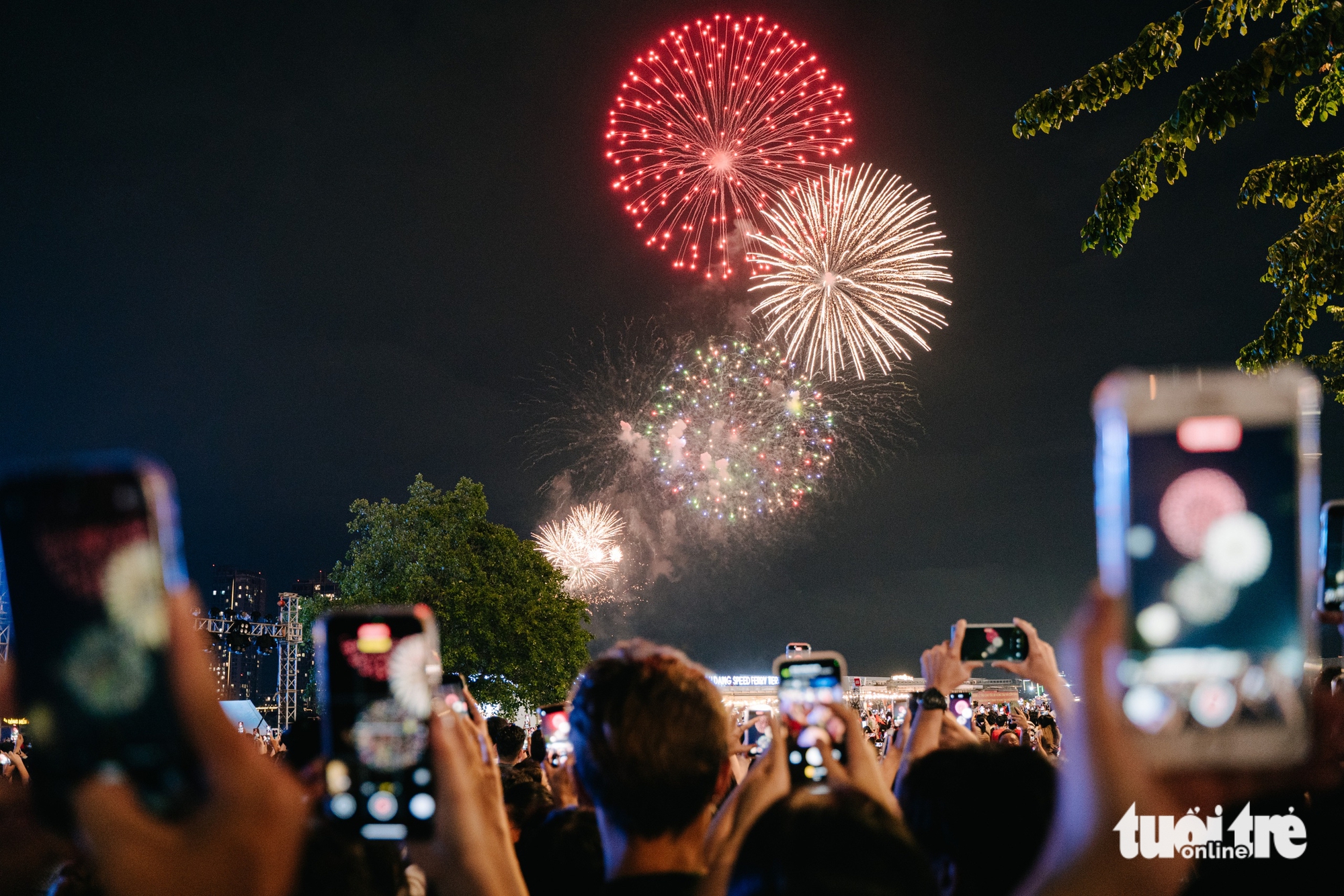 pháo hoa - Ảnh 9.