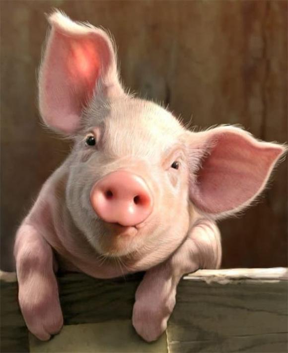 Tử vi, con giáp, tử vi hàng ngày, tử vi ngày 29/10/2025