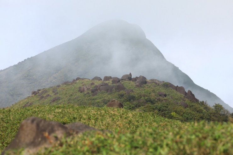 Đỉnh Voi Mẹp và Pa Thiên huyền ảo trong sương 4 Đỉnh Voi Mẹp và Pa Thiên huyền ảo trong sương - 3