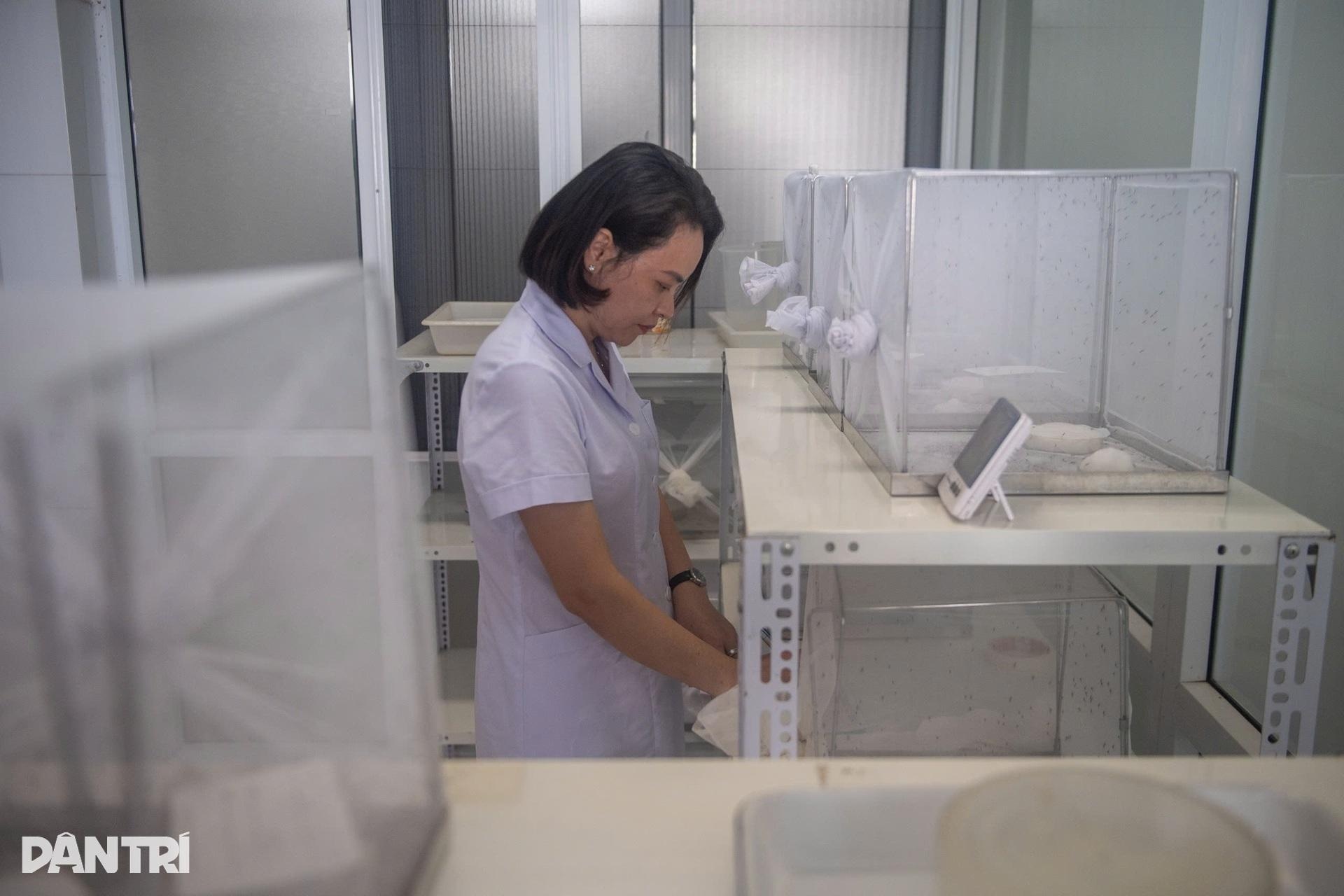 Hà Nội: Vào nơi nuôi hàng nghìn con muỗi tìm vũ khí chặn sốt xuất huyết - 11