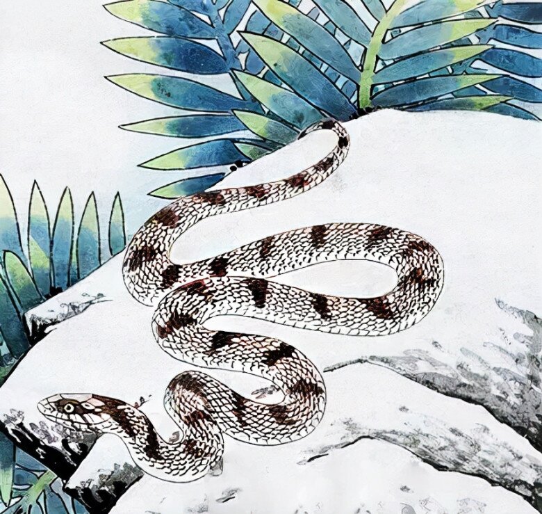 4 con giáp may mắn mà kín tiếng, trung niên giàu có ít ai sánh bằng - 2