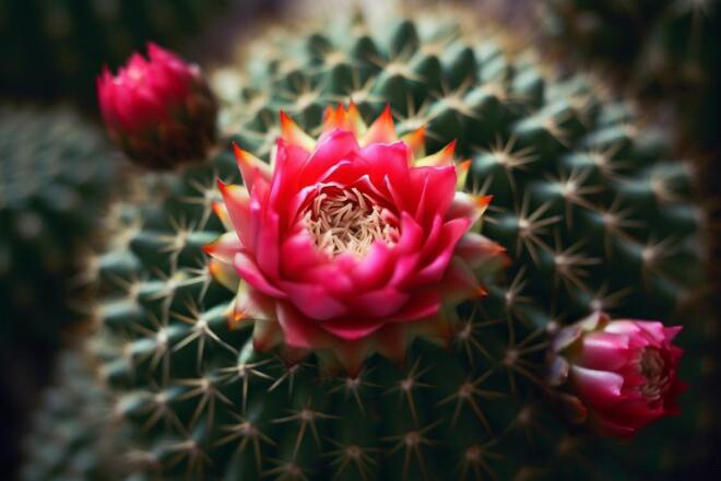 Cách nói chuyện đẳng cấp nhất của một người phụ nữ không phải nịnh nọt hay khoe khoang mà là 6 chữ này - 3