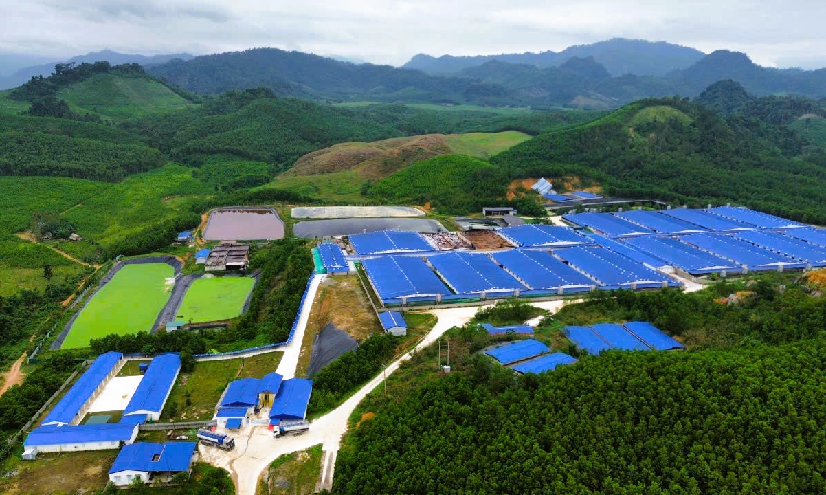 Người dân dựng lều lán phản đối trại heo công nghệ cao gây mùi hôi thối - Ảnh 2.