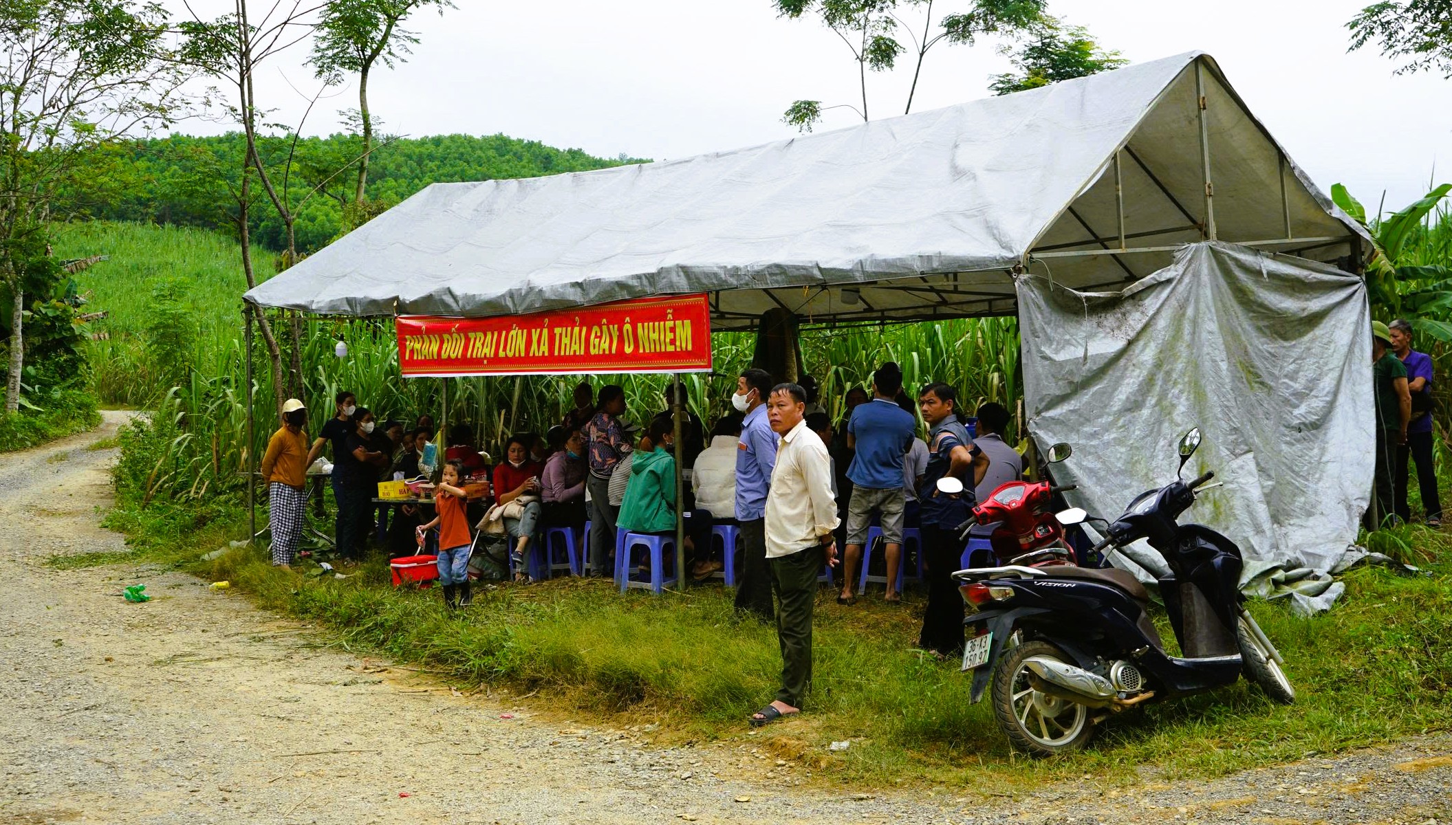 Người dân dựng lều lán phản đối trại heo công nghệ cao gây mùi hôi thối - Ảnh 4.
