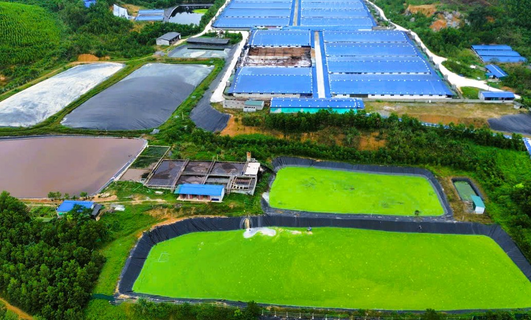 Người dân dựng lều lán phản đối trại heo công nghệ cao gây mùi hôi thối - Ảnh 3.