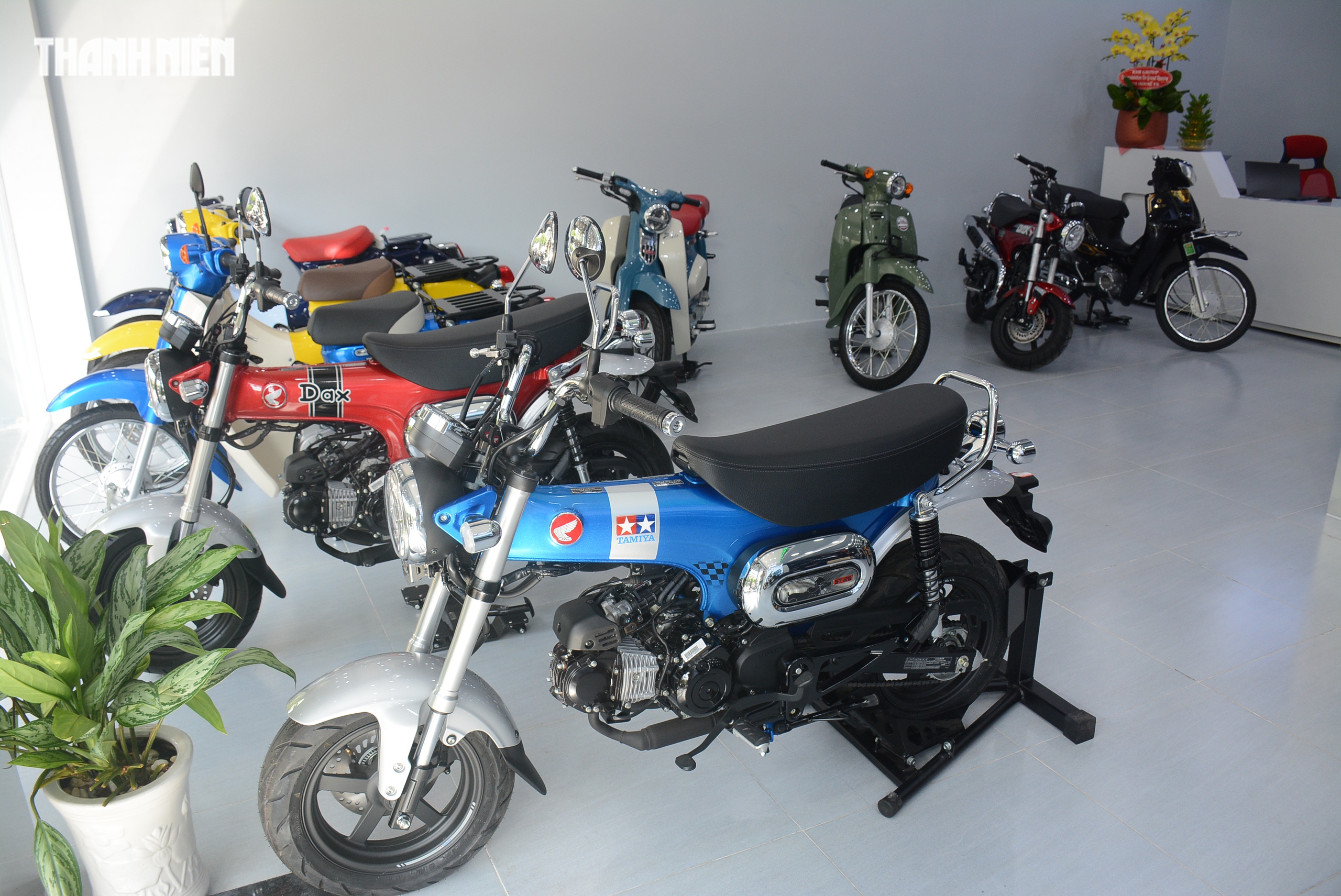 Honda tìm đến thị trường ngách, nỗ lực giữ thị phần xe máy xăng tại Việt Nam 3 Honda tìm đến thị trường ngách, nỗ lực giữ thị phần xe máy xăng tại Việt Nam - Ảnh 3.