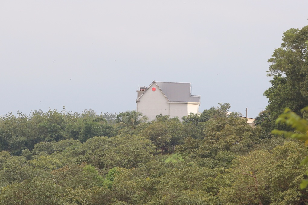 Lê Sỹ Tùng đứng ở lô cao su, xả súng bắn 3 người ở Đồng Nai - 2