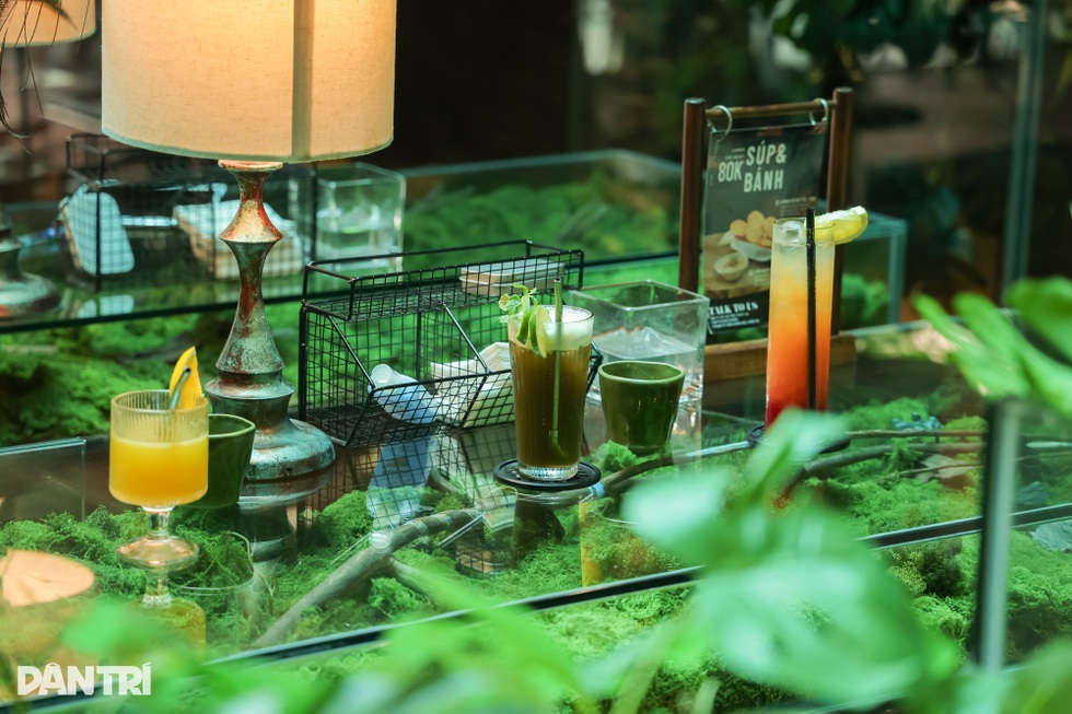 Quán cà phê như khu rừng nhỏ giữa phố Hà Nội, bàn uống nước là bể cá - 2