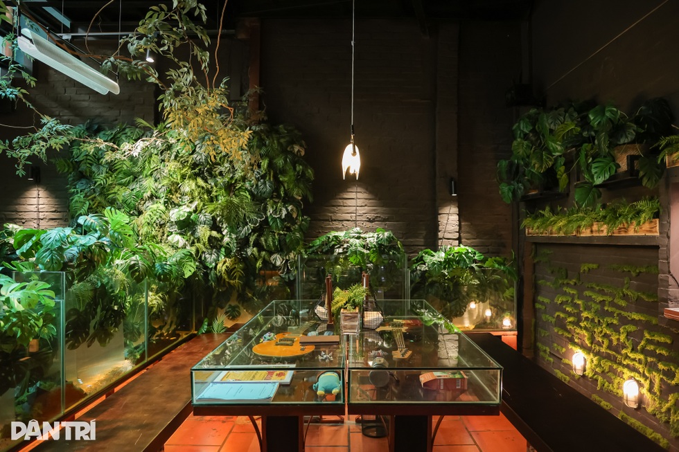 Quán cà phê như khu rừng nhỏ giữa phố Hà Nội, bàn uống nước là bể cá - 3