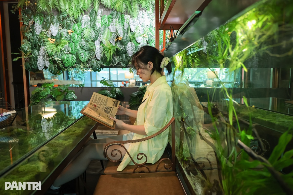 Quán cà phê như khu rừng nhỏ giữa phố Hà Nội, bàn uống nước là bể cá - 4